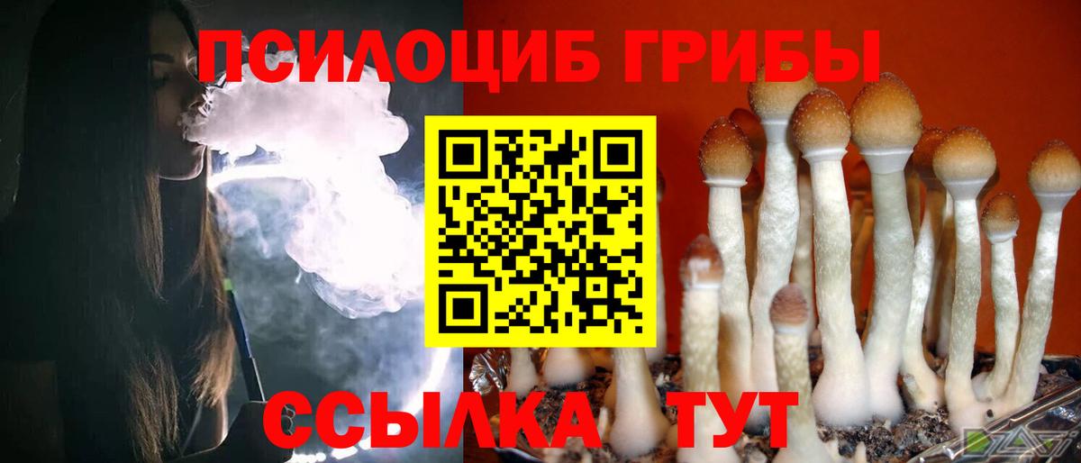 Галлюциногенные грибы Cubensis  Вход с VPN  Бугульма  Псилоцибиновые грибы GOLDEN TEACHER 